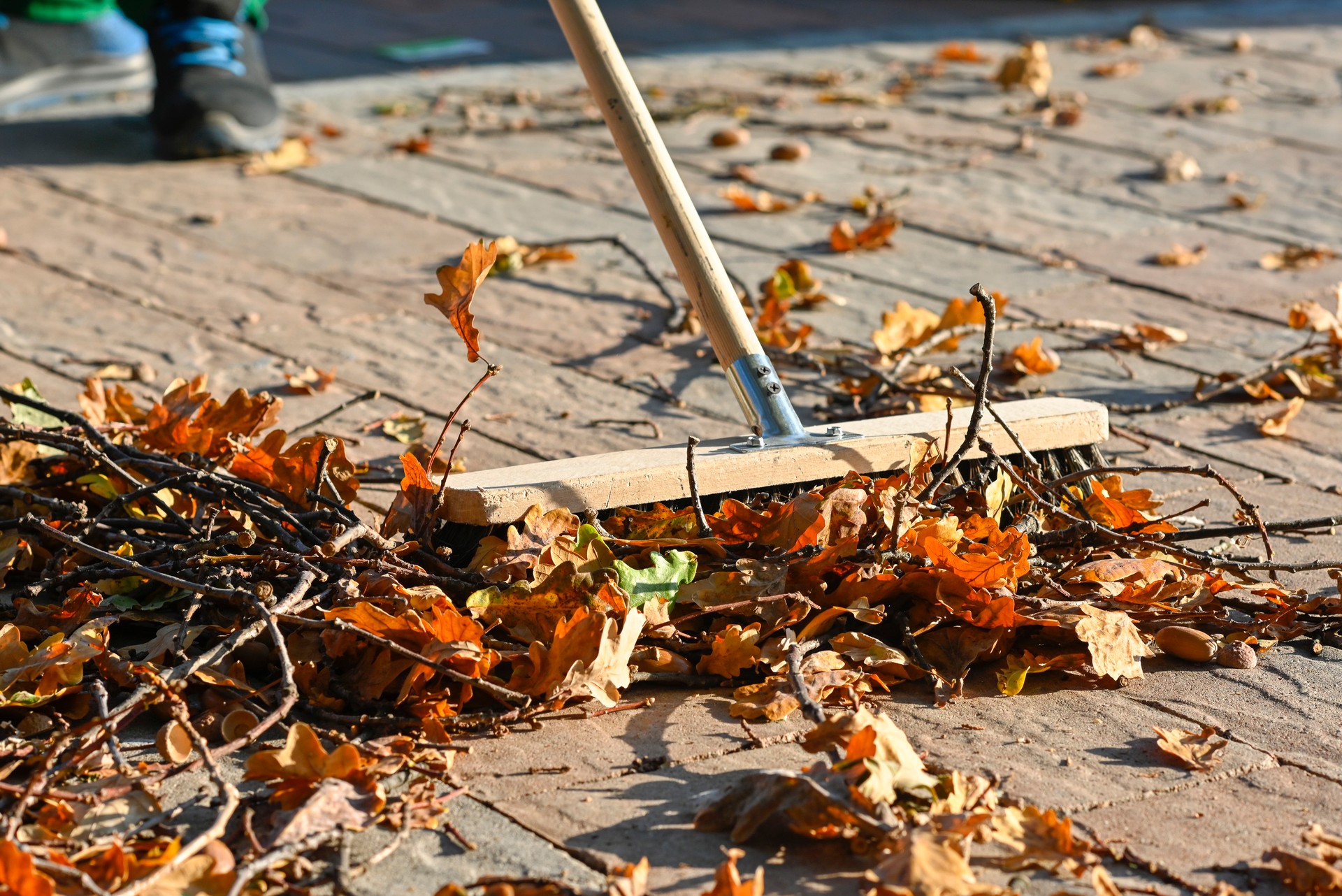 Podzim v zahradě - čištění a ochrana dlažby před zimou