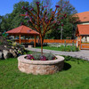 260926_CSB_sklarna_Pacinek_HR_008© Petra Hajska