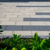 260805_CS_beton_Hradec_Kralove_HR_20© Petra Hajská - ANO