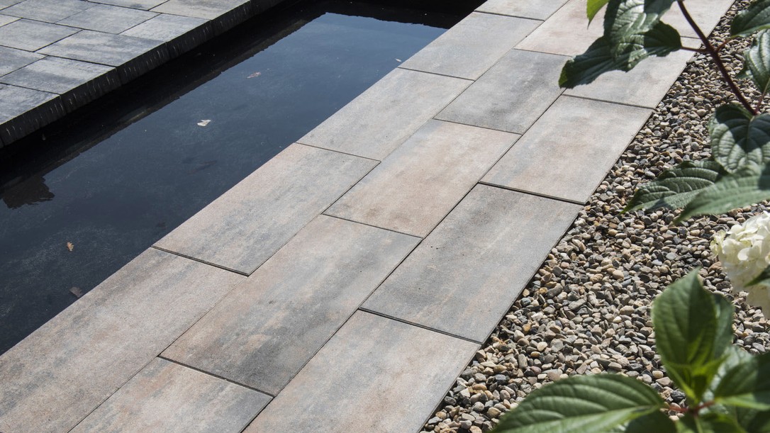 Rus uy qurilishi mushuk rasmlari Kotibning stoli ostidagi kamera